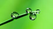 Sweden: A pioneer in green steel production
