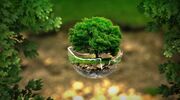 EcoGraf announces goal to reduce steelmaking emissions