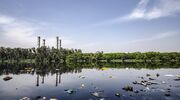 Tata Steel Ijmuiden faces criminal investigation