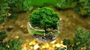 Just Climate joins H2 Green Steel investors in equity round