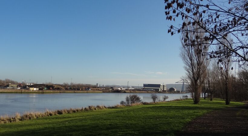 Binding Solutions launches first phase of green pellet plant