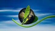 Take immediate action to reach net zero, says ResponsibleSteel