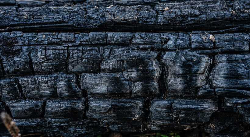 SAIL uses biochar to lower carbon emissions