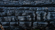 SAIL uses biochar to lower carbon emissions