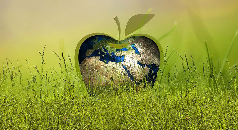 Sustainability award for Steel Dynamics