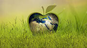 Sustainability award for Steel Dynamics
