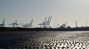 Peel Ports Group to invest £100m in steels and metals sector