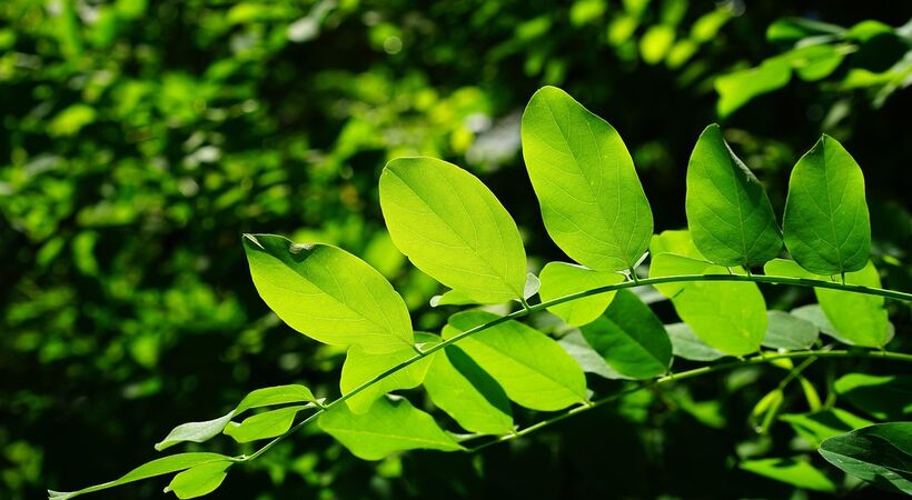 Stegra enters green steel agreement with Microsoft