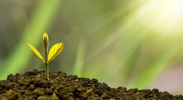 Steel Dynamics recognised as one of the most sustainable corporations