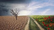 Huge climate accolade for SHS Group